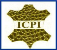 partner-ICPI